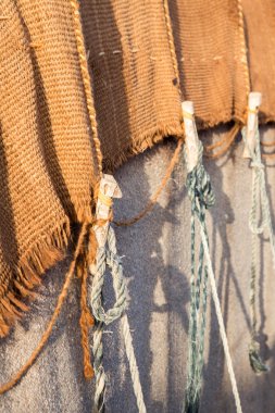 Berber çadırlarda: essaouira, morocco