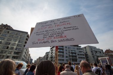 Belçikalı gaia eylemciler protesto Brüksel sokaklarında