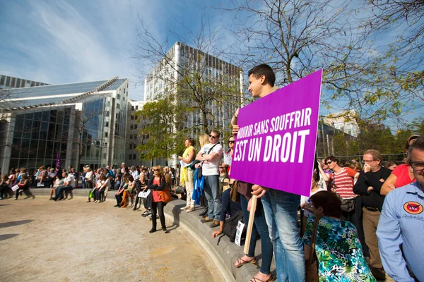 Бельгийские активисты Гайи протестуют на улицах Брюсселя — стоковое фото