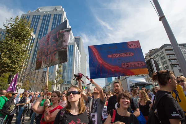 Ativistas belgas Gaia protestam nas ruas de Bruxelas — Fotografia de Stock