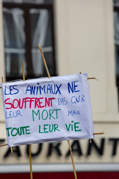 比利时布鲁塞尔街上的盖亚积极分子抗议 — 图库照片