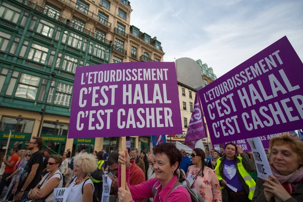 Belgian Gaia activists protest on the streets of Brussels — Stock Photo, Image