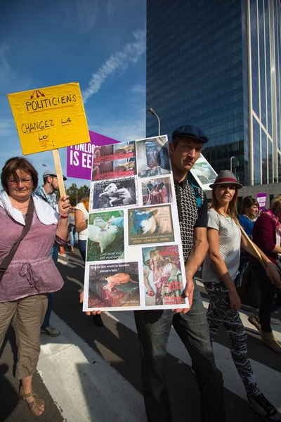 Belgian Gaia activists protest on the streets of Brussels — Stock Photo, Image