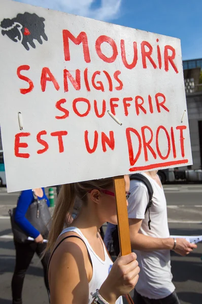 Belçikalı gaia eylemciler protesto Brüksel sokaklarında — Stok fotoğraf