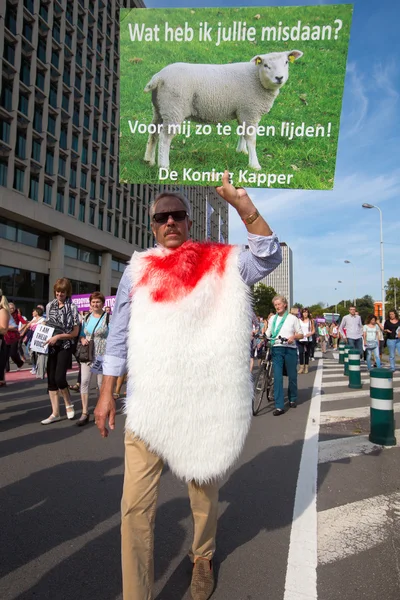 Belgian Gaia activists protest on the streets of Brussels — Stock Photo, Image