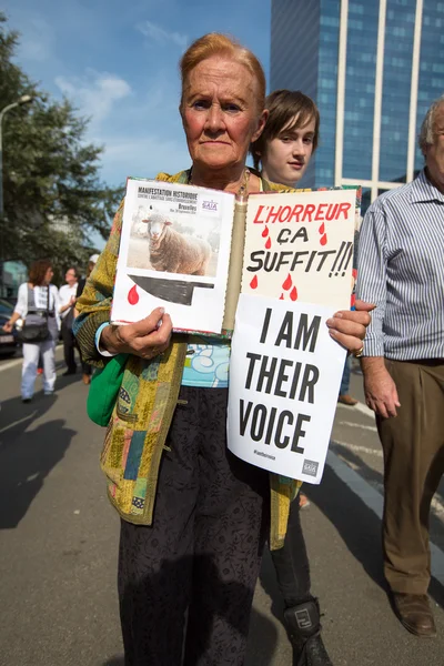 Belgian Gaia activists protest on the streets of Brussels — Stock Photo, Image