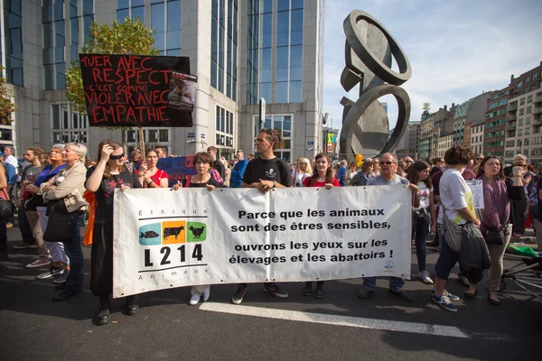 Belgische gaia activisten protest in de straten van Brussel — Stockfoto