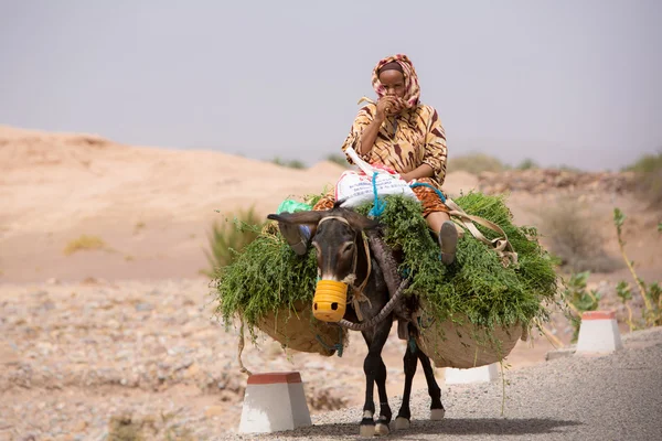 Femme agricultrice assise et voyageant sur son âne, Maroc — Photo