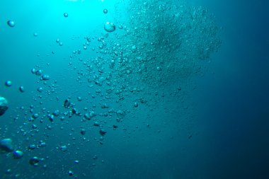 Güneşe doğru sualtı kabarcıklar yükselişi