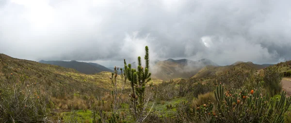 Trilha para o vulcão Pichincha, Quito. Equador — Fotografia de Stock