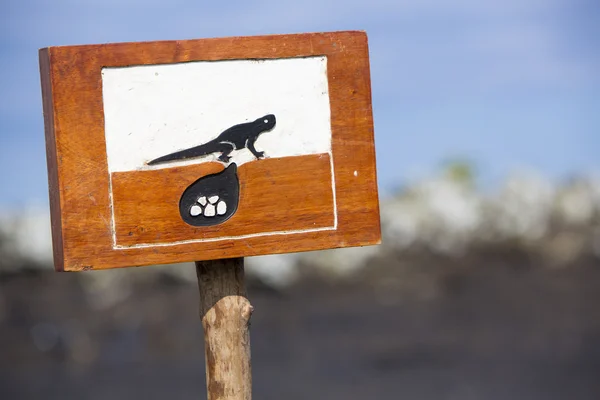 Holzschild, das einen geschlossenen Nistplatz schützt, Galapagos — Stockfoto