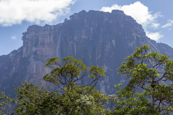 Ангельские водопады Венесуэлы — стоковое фото