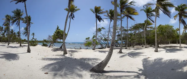 Parque Nacional Morrocoy, um paraíso com coqueiros, san branco — Fotografia de Stock