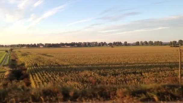 Hermoso campo de paisaje en el norte de Polonia . — Vídeos de Stock