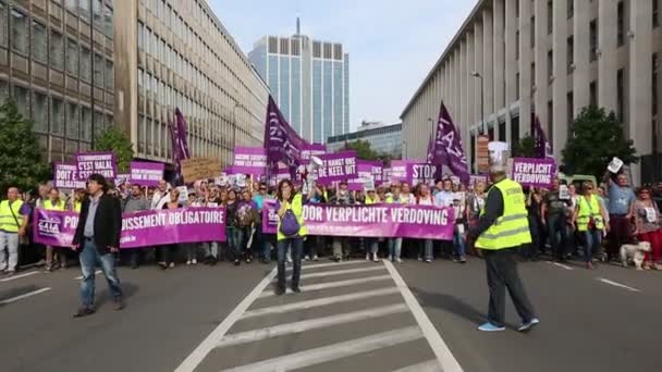 Gli attivisti belgi di Gaia protestano per le strade di Bruxelles — Video Stock