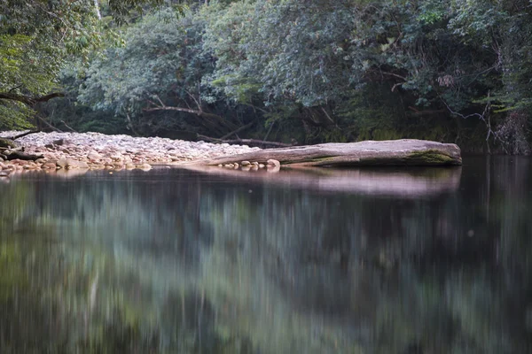 Grass, stones water with defocussed background, Venezuela — Stock Photo, Image