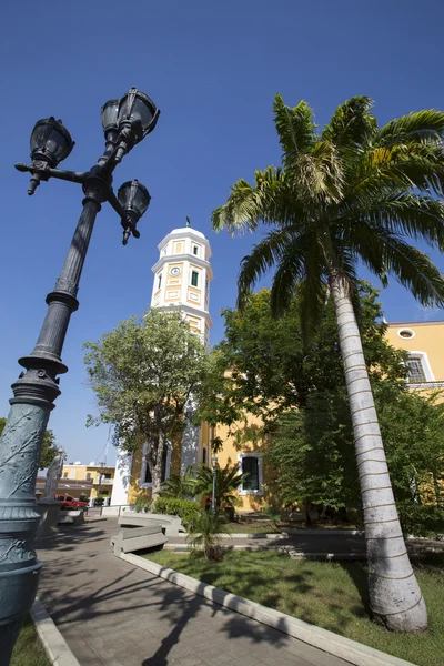 Evangelistisk katedral nära parken med en klarblå himmel, Venezuela — Stockfoto