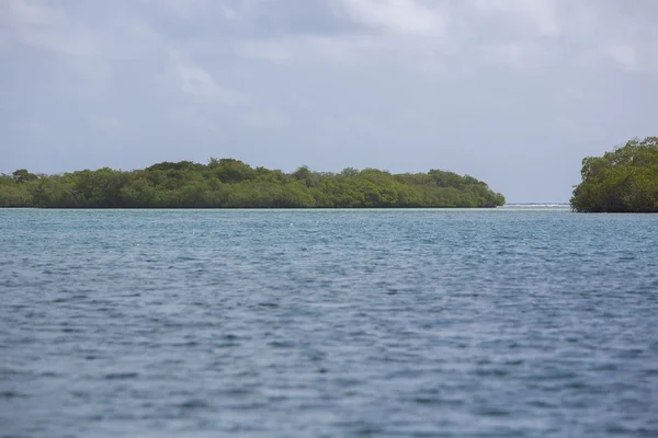 Błękitne niebo, ocean i dzikie cayos w Morrocoy — Zdjęcie stockowe