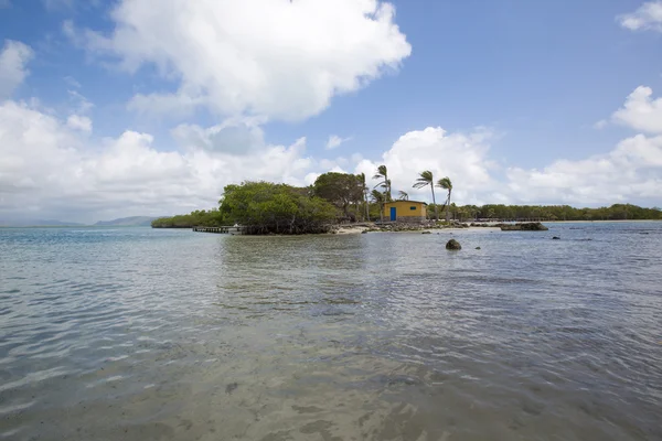 Morrocoy Milli Parkı, bir cennet ile Hindistan cevizi ağaçları, beyaz san — Stok fotoğraf