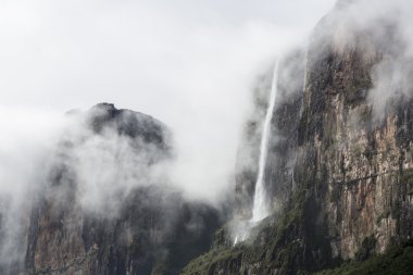 Kukenan tepui in the clouds. Mount Roraima. Venezuela, clipart