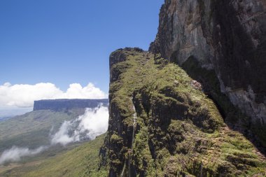 Roraima Tepui - Table Mountain - üçlü sınırdan, Venezu göster