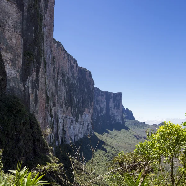 Vista de Roraima Tepui - Montanha da Mesa - Tripla fronteira, Venezu — Fotografia de Stock