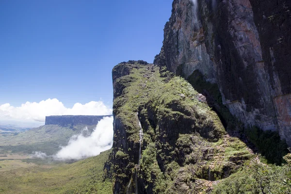 Roraima Tepui - Table Mountain - üçlü sınırdan, Venezu göster