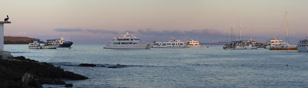 Günbatımı ve cruise gemi Galapagos Adaları'nda — Stok fotoğraf