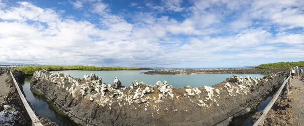 Panorama of the lagoon and the nature in Galapagos — Stock Photo, Image