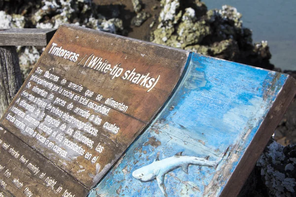 Tablero informativo sobre los tiburones punta blanca — Foto de Stock