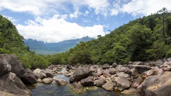 Panorama de río salvaje, piedras y bosque en Venezuela — Foto de Stock