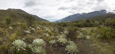 Bulutlar, Venezuela, Merida yakınındaki Paramo yatay