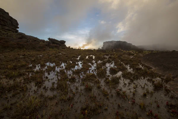 Szürreális nézet tetején Mount Roraima alatt a ködben — Stock Fotó