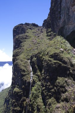 Roraima Tepui - Table Mountain - üçlü sınırdan, Venezu göster