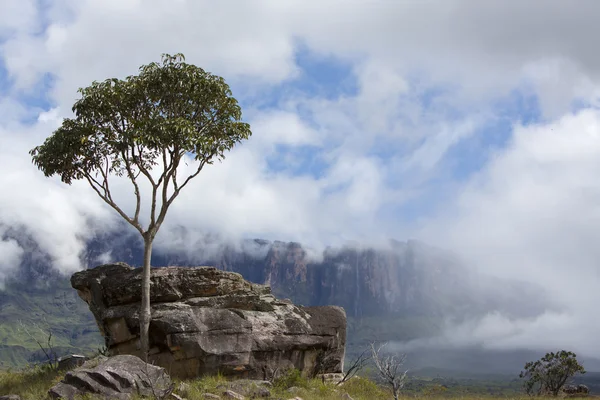 Roraima Tepui o montaña de mesa en Canaima, Venezuela — Foto de Stock