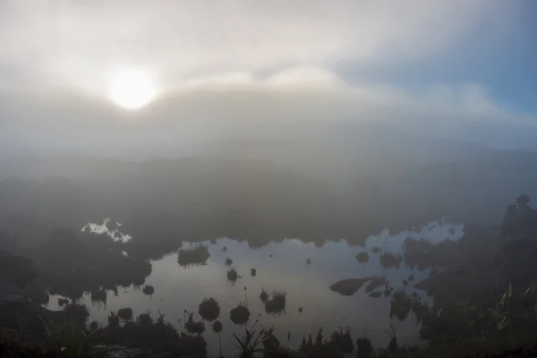 Mooie ochtend landschap op Mount Roraima — Stockfoto