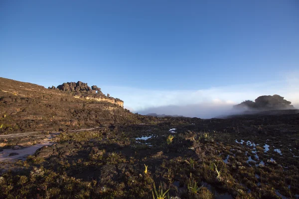Саміт гора Рорайма, дивний світ з вулканічних чорний st — стокове фото