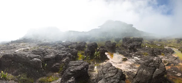Vista surreale sulla cima del Monte Roraima sotto la nebbia — Foto Stock