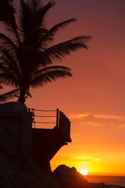 Palm trees and wild balcony in Mancora during a wonderful sunset