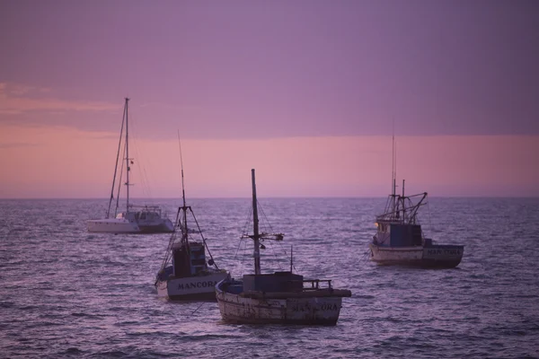 Günbatımı Harbor Mancora, Peru — Stok fotoğraf