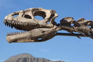 Dinozorun baş kafatası ve mavi gökyüzü, Ischigualasto