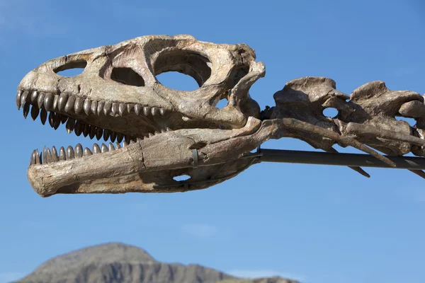 恐竜の頭の頭蓋骨と青い空、Ischigualasto — ストック写真