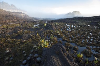 Mount Roraima Zirvesi, garip dünya volkanik siyah st yapılmış.