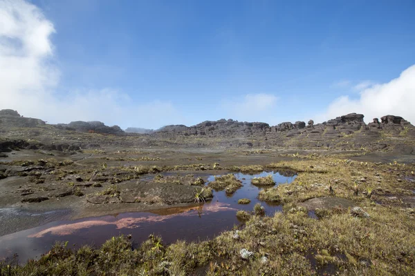 Surrealistiska vyn på toppen av Mount Roraima under dimman — Stockfoto