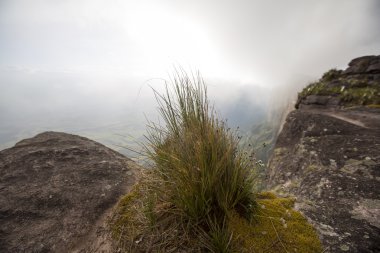 Sisin altında üst kısmında Mount Roraima gerçeküstü görünümü
