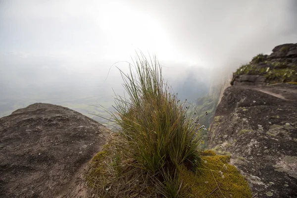 Vista surreal no topo do Monte Roraima sob a névoa — Fotografia de Stock