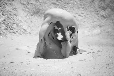 Detail of geyser activity at the Solar de Manana, Bolivia