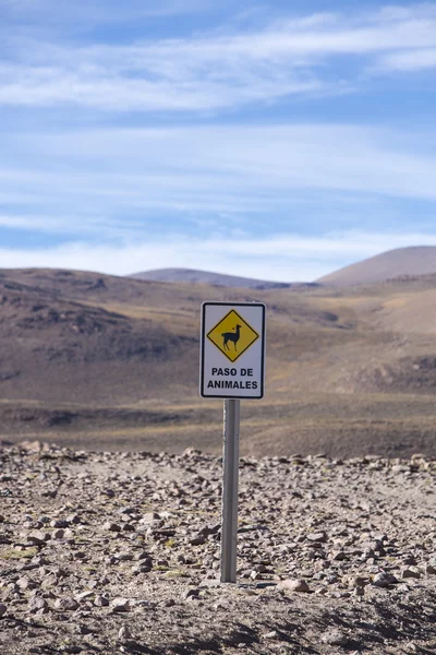 Llama sinal de estrada na montanha da Bolívia — Fotografia de Stock