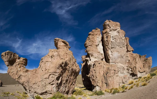 Rock formation with shape of a camel with blue sky, Bolivia — Stock Photo, Image