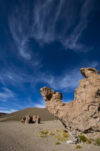 Rock formation with shape of a camel with blue sky, Bolivia — Stok fotoğraf